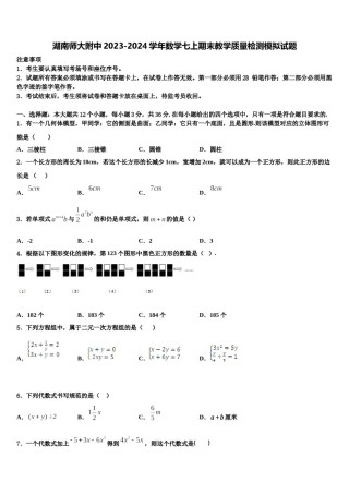 湖南师大附中2023-2024学年数学七上期末教学质量检测模拟试题含解析.doc