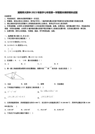 湖南师大附中2023年数学七年级第一学期期末调研模拟试题含解析.doc