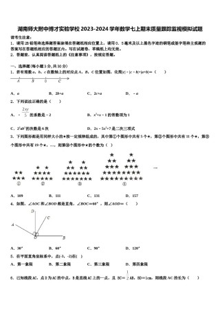 湖南师大附中博才实验学校2023-2024学年数学七上期末质量跟踪监视模拟试题含解析.doc