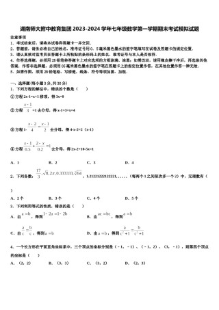 湖南师大附中教育集团2023-2024学年七年级数学第一学期期末考试模拟试题含解析.doc