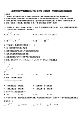 湖南师大附中教育集团2023年数学七年级第一学期期末达标测试试题含解析.doc