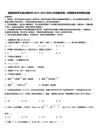 湖南张家界五道水镇中学2023-2024学年七年级数学第一学期期末统考模拟试题含解析.doc