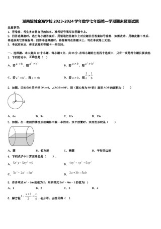 湖南望城金海学校2023-2024学年数学七年级第一学期期末预测试题含解析.doc