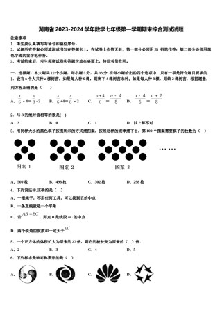 湖南省2023-2024学年数学七年级第一学期期末综合测试试题含解析.doc