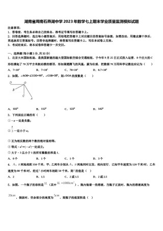 湖南省周南石燕湖中学2023年数学七上期末学业质量监测模拟试题含解析.doc