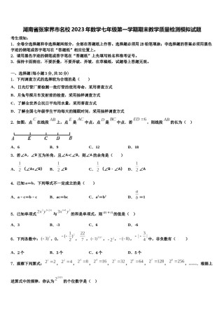 湖南省张家界市名校2023年数学七年级第一学期期末教学质量检测模拟试题含解析.doc