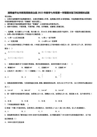 湖南省怀化市新晃侗族自治县2023年数学七年级第一学期期末复习检测模拟试题含解析.doc