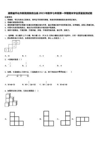 湖南省怀化市新晃侗族自治县2023年数学七年级第一学期期末学业质量监测试题含解析.doc