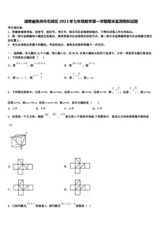 湖南省株洲市石峰区2023年七年级数学第一学期期末监测模拟试题含解析.doc