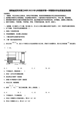 湖南省武冈市第三中学2023年七年级数学第一学期期末学业质量监测试题含解析.doc
