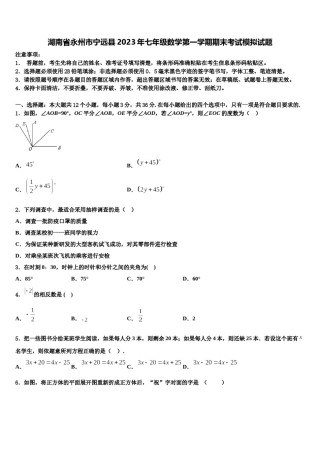湖南省永州市宁远县2023年七年级数学第一学期期末考试模拟试题含解析.doc