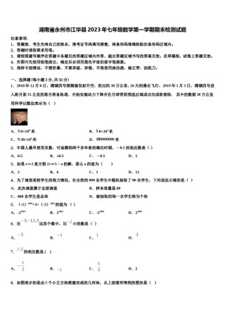 湖南省永州市江华县2023年七年级数学第一学期期末检测试题含解析.doc