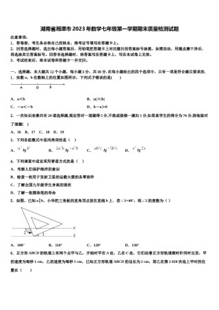 湖南省湘潭市2023年数学七年级第一学期期末质量检测试题含解析.doc