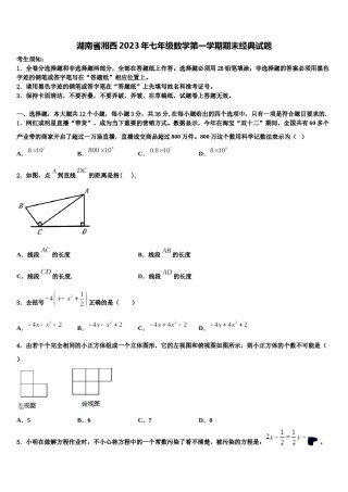 湖南省湘西2023年七年级数学第一学期期末经典试题含解析.doc