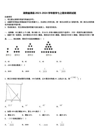湖南省澧县2023-2024学年数学七上期末调研试题含解析.doc