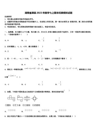 湖南省澧县2023年数学七上期末经典模拟试题含解析.doc