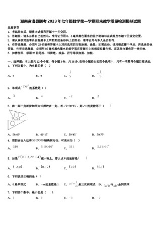 湖南省澧县联考2023年七年级数学第一学期期末教学质量检测模拟试题含解析.doc
