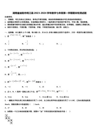 湖南省益阳市桃江县2023-2024学年数学七年级第一学期期末检测试题含解析.doc