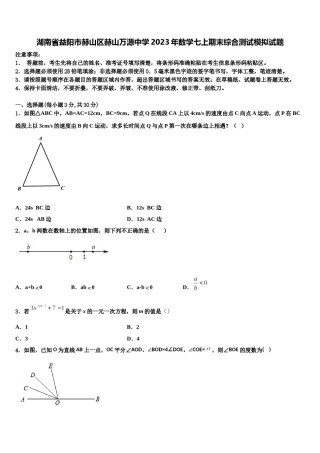 湖南省益阳市赫山区赫山万源中学2023年数学七上期末综合测试模拟试题含解析.doc