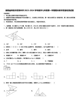 湖南省耒阳市冠湘中学2023-2024学年数学七年级第一学期期末教学质量检测试题含解析.doc