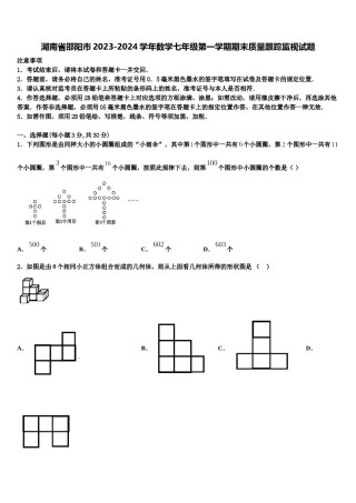 湖南省邵阳市2023-2024学年数学七年级第一学期期末质量跟踪监视试题含解析.doc