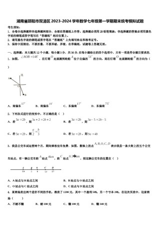 湖南省邵阳市双清区2023-2024学年数学七年级第一学期期末统考模拟试题含解析.doc
