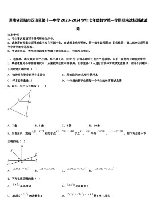 湖南省邵阳市双清区第十一中学2023-2024学年七年级数学第一学期期末达标测试试题含解析.doc