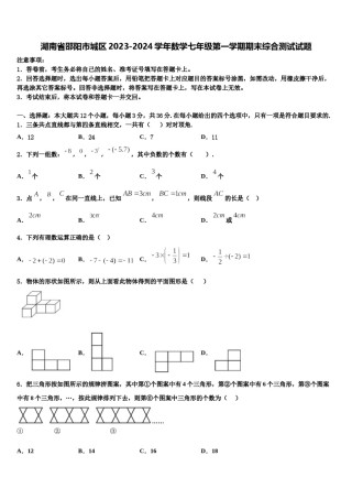 湖南省邵阳市城区2023-2024学年数学七年级第一学期期末综合测试试题含解析.doc