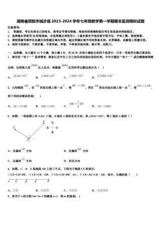湖南省邵阳市城步县2023-2024学年七年级数学第一学期期末监测模拟试题含解析.doc