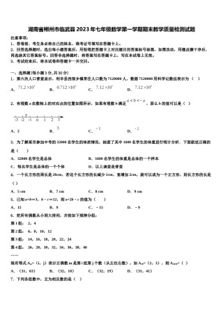 湖南省郴州市临武县2023年七年级数学第一学期期末教学质量检测试题含解析.doc