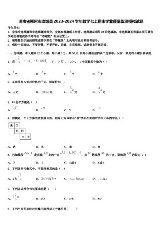湖南省郴州市汝城县2023-2024学年数学七上期末学业质量监测模拟试题含解析.doc