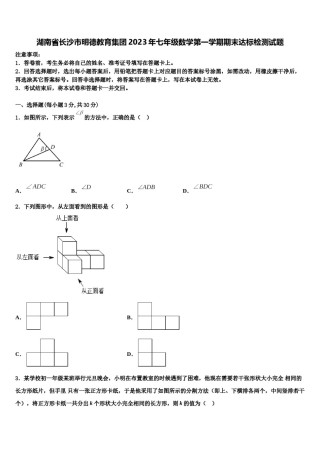 湖南省长沙市明德教育集团2023年七年级数学第一学期期末达标检测试题含解析.doc