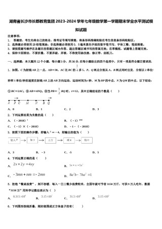 湖南省长沙市长郡教育集团2023-2024学年七年级数学第一学期期末学业水平测试模拟试题含解析.doc
