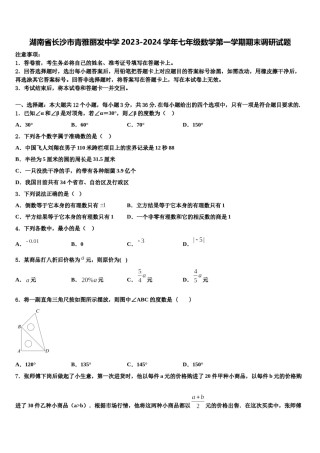 湖南省长沙市青雅丽发中学2023-2024学年七年级数学第一学期期末调研试题含解析.doc