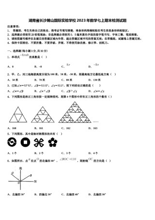 湖南省长沙麓山国际实验学校2023年数学七上期末检测试题含解析.doc