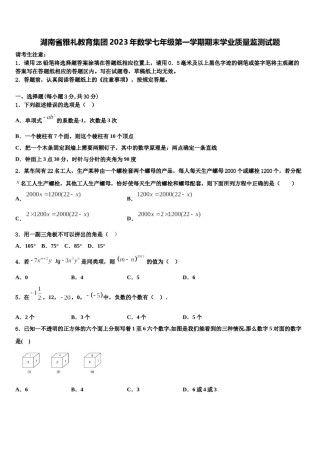 湖南省雅礼教育集团2023年数学七年级第一学期期末学业质量监测试题含解析.doc
