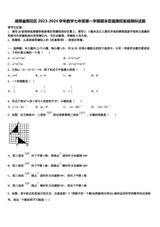湖南省雨花区2023-2024学年数学七年级第一学期期末质量跟踪监视模拟试题含解析.doc