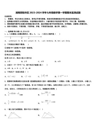 湖南邵阳市区2023-2024学年七年级数学第一学期期末监测试题含解析.doc