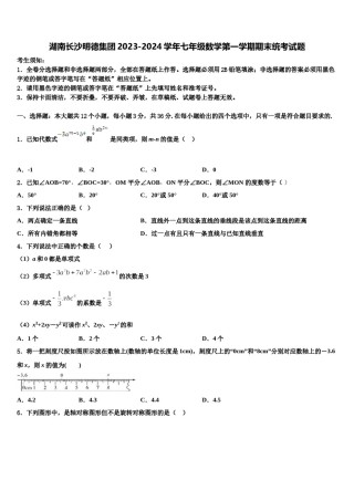 湖南长沙明德集团2023-2024学年七年级数学第一学期期末统考试题含解析.doc