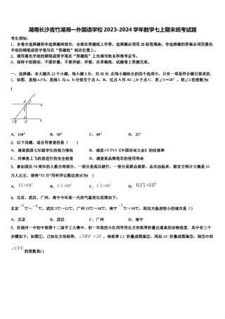 湖南长沙青竹湖湘一外国语学校2023-2024学年数学七上期末统考试题含解析.doc