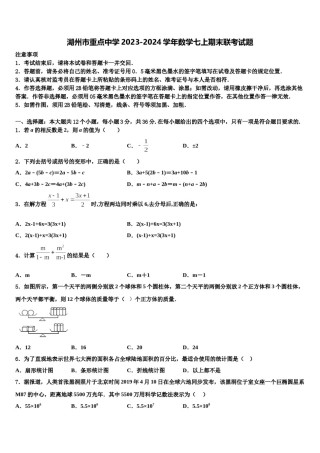 湖州市重点中学2023-2024学年数学七上期末联考试题含解析.doc