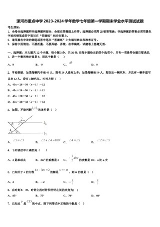 漯河市重点中学2023-2024学年数学七年级第一学期期末学业水平测试试题含解析.doc