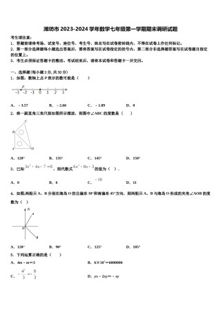 潍坊市2023-2024学年数学七年级第一学期期末调研试题含解析.doc