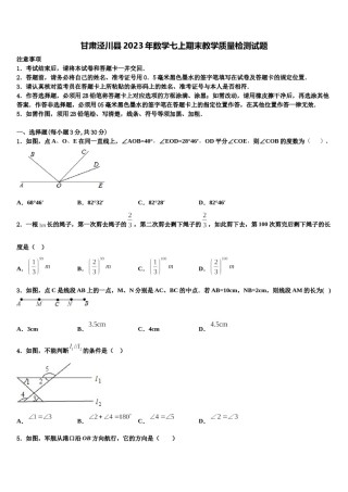 甘肃泾川县2023年数学七上期末教学质量检测试题含解析.doc