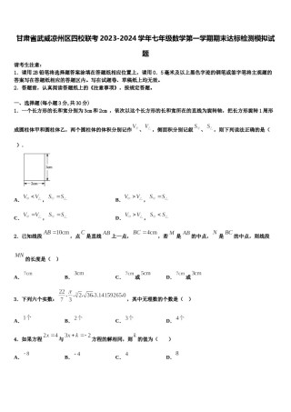 甘肃省武威凉州区四校联考2023-2024学年七年级数学第一学期期末达标检测模拟试题含解析.doc