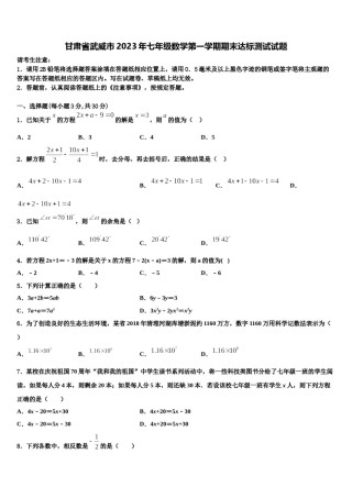 甘肃省武威市2023年七年级数学第一学期期末达标测试试题含解析.doc