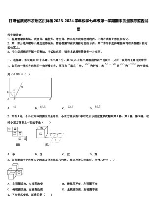 甘肃省武威市凉州区洪祥镇2023-2024学年数学七年级第一学期期末质量跟踪监视试题含解析.doc