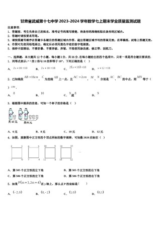 甘肃省武威第十七中学2023-2024学年数学七上期末学业质量监测试题含解析.doc
