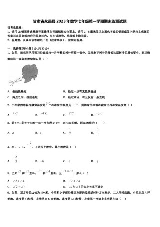 甘肃省永昌县2023年数学七年级第一学期期末监测试题含解析.doc