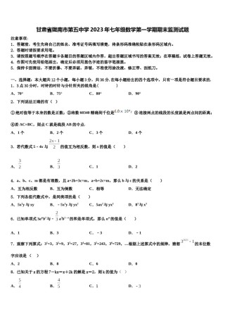 甘肃省陇南市第五中学2023年七年级数学第一学期期末监测试题含解析.doc